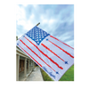Blue Angel Flag